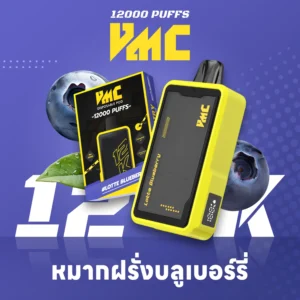 VMC 12000 Puffs กลิ่น Lotte Blueberry